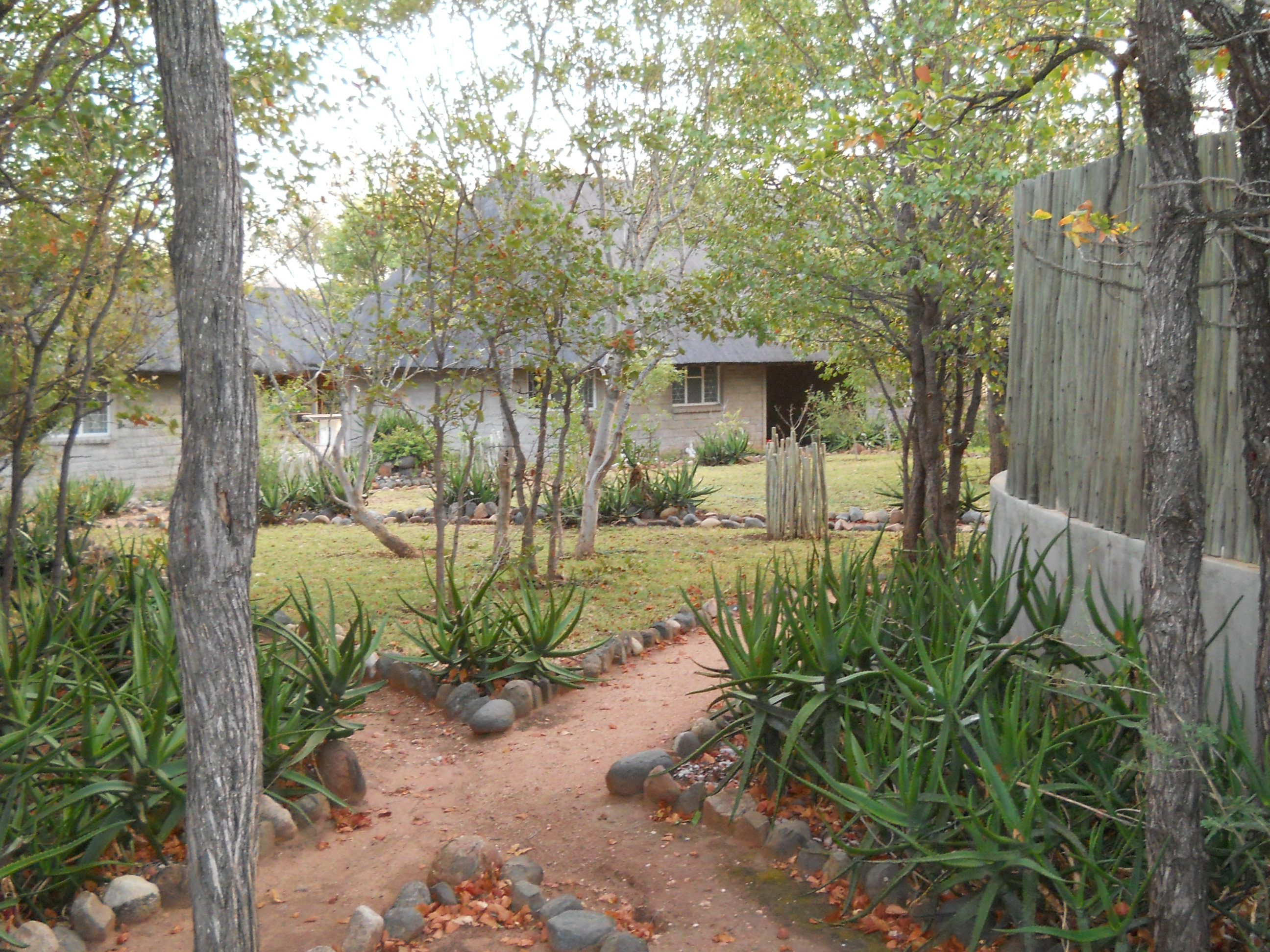 game farm for sale, game farm for sale Umbabat Private Nature Reserve, Big 5 area, Big five area, game farm for sale Hoedspruit, Hoedspruit, Limpopo, Kruger National Park, Umbabat, game farm, Kruger2Canyon Properties, Kruger 2 Canyon Properties