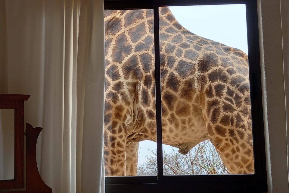 Kruger2Canyon Properties,